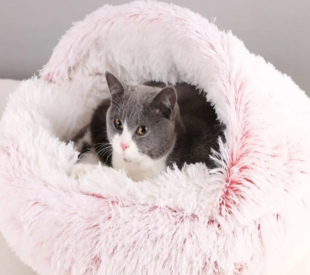 Comfortabel Huisdierbed - Top Beoordeeld en Perfect voor Honden & Katten! SoftSnuggle™ Middo