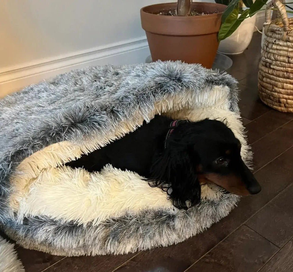 Comfortabel Huisdierbed - Top Beoordeeld en Perfect voor Honden & Katten! SoftSnuggle™ Middo