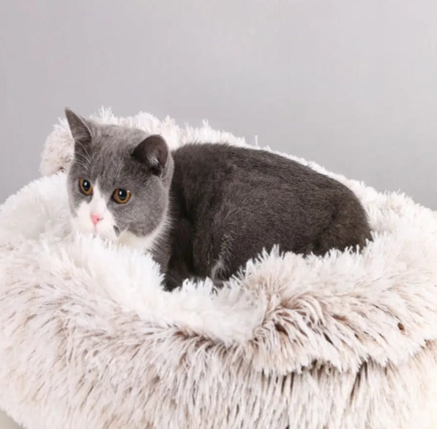 Comfortabel Huisdierbed - Top Beoordeeld en Perfect voor Honden & Katten! SoftSnuggle™ Middo